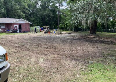 beautiful-flamingo-grass-park